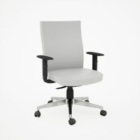 Elite_Alu_Pres_Gol_Back_50